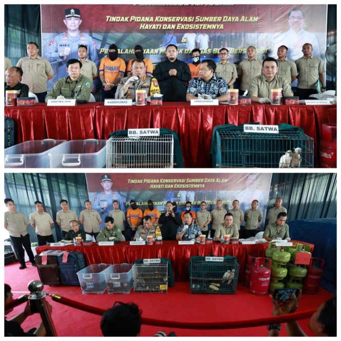 
 Polda Jatim Berhasil Amankan Sindikat Penyelundupan Satwa di Lindungi