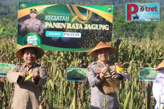 
 Polres Pacitan Bersama Warga Tani Panen Jagung Wujudkan Ketahanan Pangan Nasional